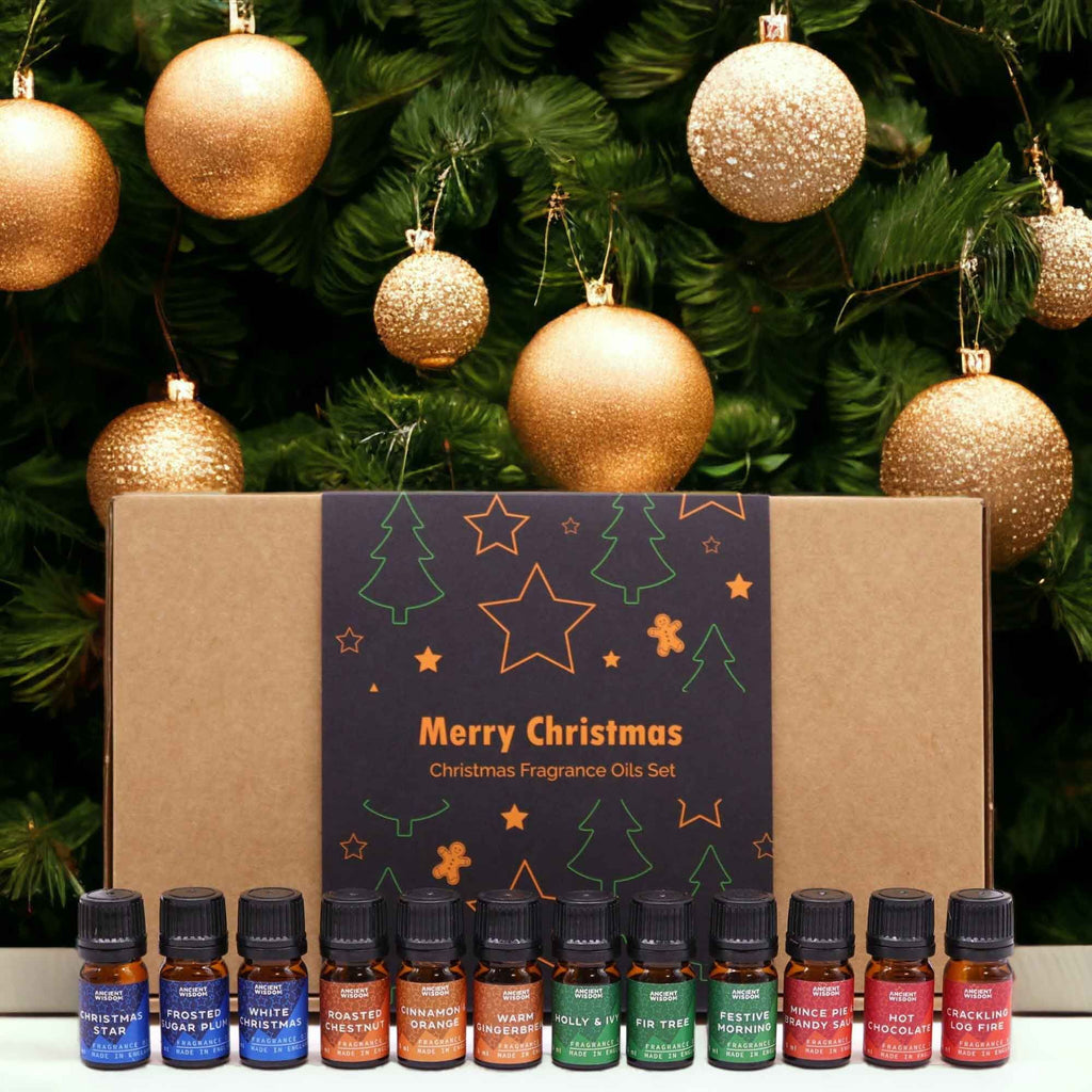 Festive Delights Fragrance Set - BLAKK Home Fragrance